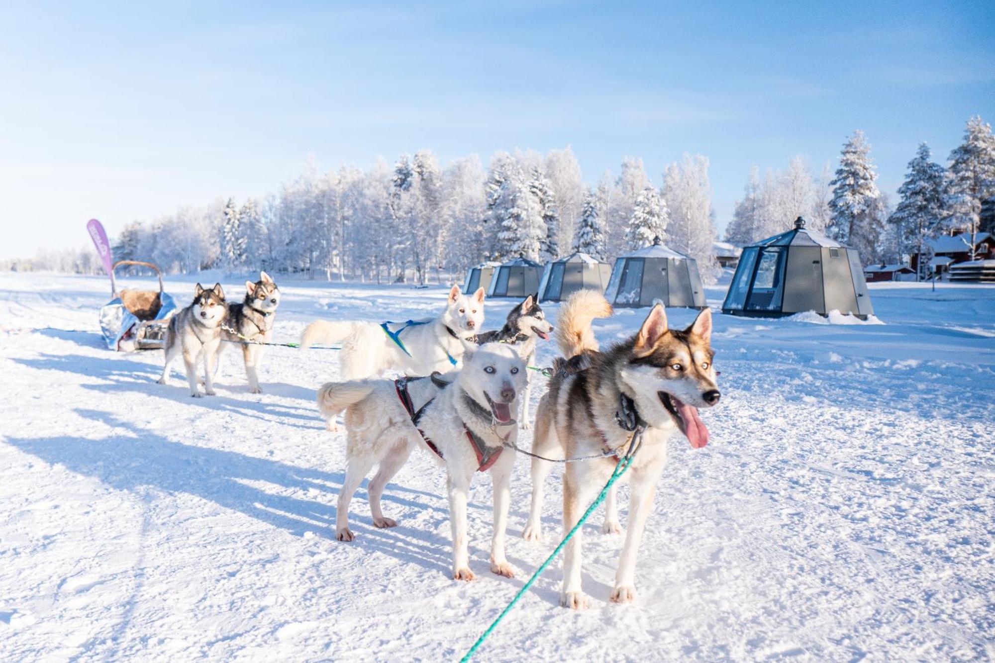 Arctic Guesthouse & Igloos رانوا المظهر الخارجي الصورة